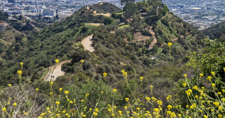 20 Mejores Cosas que Hacer en Los Ángeles