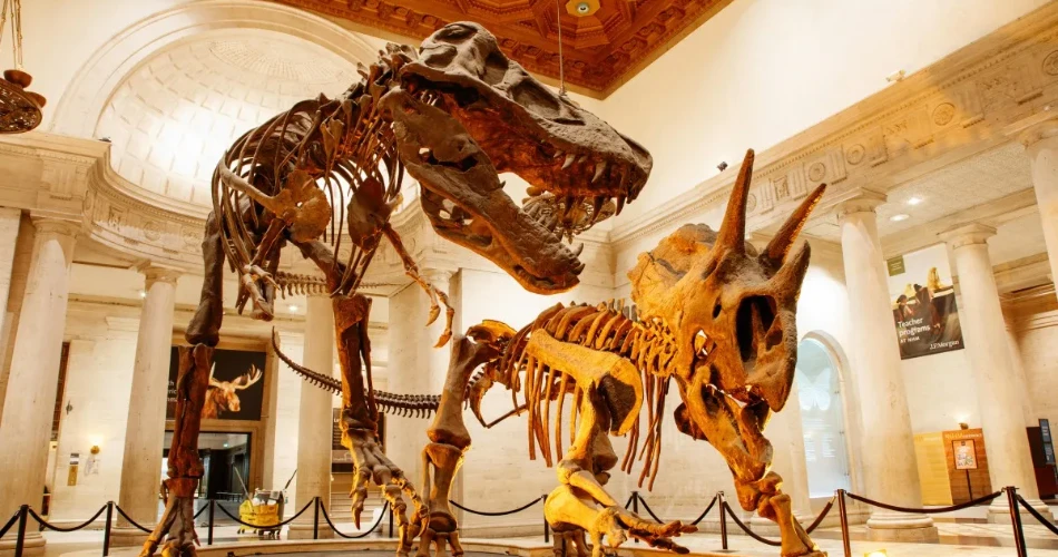 20 Mejores Cosas que Hacer en Los Ángeles